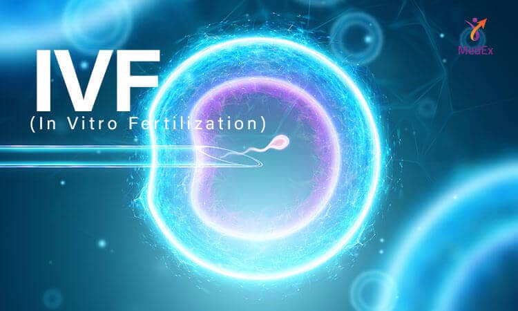 IVF In Vitro Fertilization
