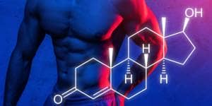 The Power of Testosterone: What Everyone Should Know for Optimal Health